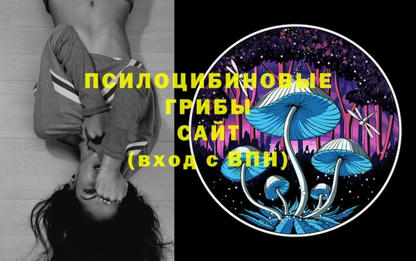 гидра Краснотурьинск