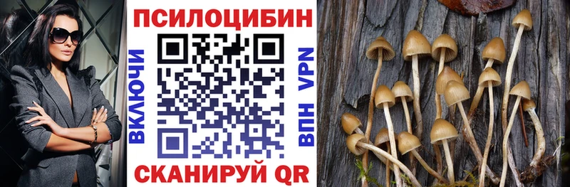 Псилоцибиновые грибы GOLDEN TEACHER Бирюч